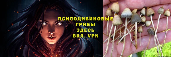 каннабис Каменногорск