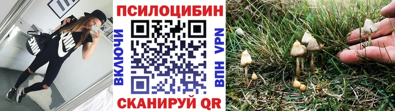 Купить где  Азов  Псилоцибиновые грибы Cubensis 